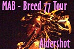 Breed 77 Tour